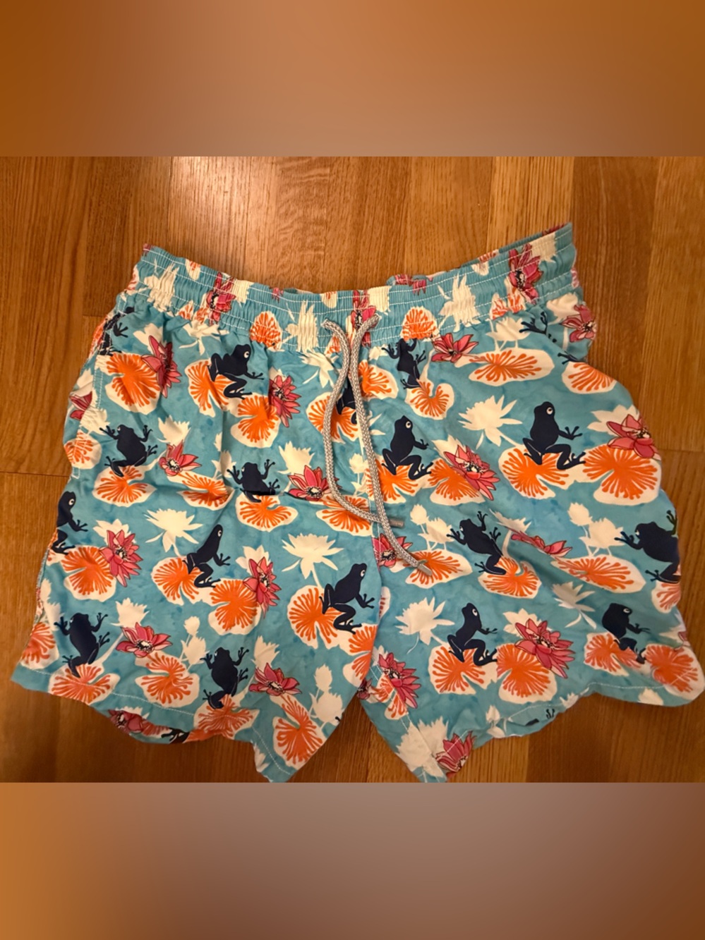 Vilebrequin Aqua and Orange Tropical Frog Swim Shorts